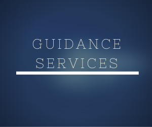  Guidance Services